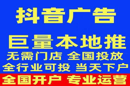 专业SEM服务公司案例分析报告